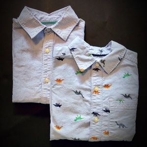 Two Button-Down Long-Sleeve Shirts